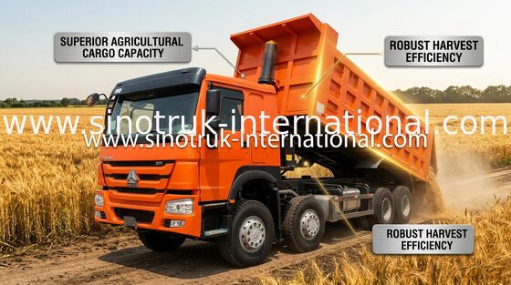 Damperli Kamyon SINOTRUK HOWO 371HP 12 Tekerlek LHD 31 Ton 20-30CBM ZZ3317N3567W
