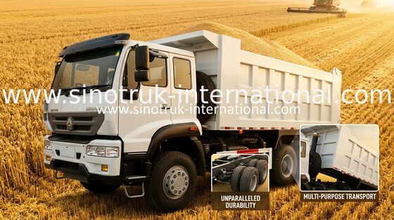 SINOTRUK Altın Prens Damperli Kamyon 10Wheels 336HP LHD 25-30tons ZZ3251N3641W