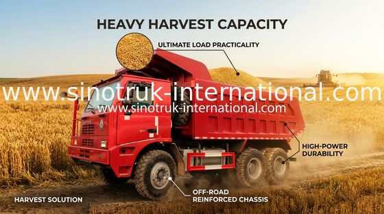 70 Maden Damperli Damperli Kamyon, Euro 2 SINOTRUK HOWO 6x4 Damperli Kamyon