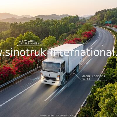 SINOTRUK HOWO 10 ton Soğutmalı Kamyon 160HP RHD